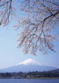 富士山 #日本#