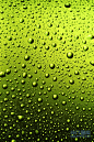绿色玻璃上的水滴高清图片下载-非凡图库