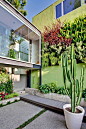 verticla-garden-green-wall-cactus-oct15