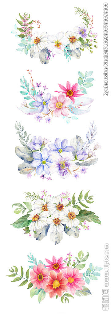 手绘花束 手绘植物 手绘花朵