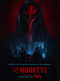 12 Monkeys