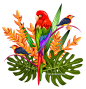 [美工云]-Cartoon-Flower-Bird卡通植物鲜花鸟类矢量EPS下载_PNG：