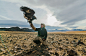 Eagle hunters, Mongolia : Eagle hunters, Mongolia