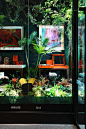 《安邸AD》与Réel芮欧百货共同打造都市丛林橱窗-安邸AD家居生活网