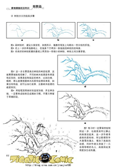 左·湘安采集到教程