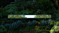 'santa monica linear' reflective piece by phillip k. smith III + SOM mirrors lush californian landscape