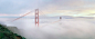 Photograph Golden gate and the rolling fog by Jane Goodall 