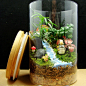 山涧彩虹 苔藓微景观 生态瓶 DIY 创意礼物小品 办公室植物小盆栽