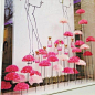 44 Ideas Flowers Shop Display Paris France #flowers