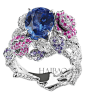 迪奥 (Dior) 2013年高级珠宝Precieuses Rose系列珠宝
戒指