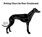 Petting chart. This applies to Whippets, too. I thought it was just our dogs that were like this!: 