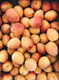 Pile of fresh apricots at a produce market