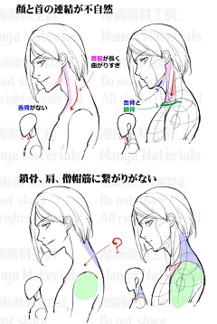 Bramasolo采集到繪畫資料·結構