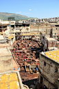 Fes - 61 : Chaouwara Tanneries (染布坊)