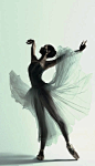 Natasha Kusen, The Australian Ballet, Serenade by  Justin Smith.