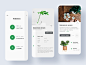 Plant  Concept website type ui branding app design