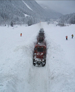 郑小钱cells采集到railway 