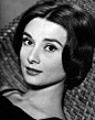 奥黛丽·赫本 Audrey Hepburn 图片
