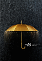 Rain with Gold Umbrella