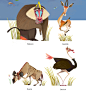 Meet the Animals : Animal illustration for Baibuk Group's books