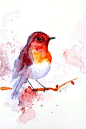 水彩画，水粉画鸟，鸟艺术，动物图，鸟PRINT 6×8英寸。 15x20厘米。
