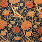 William Morris 威廉·莫里斯 艺术设计