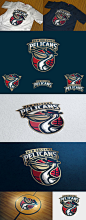 Pelicans logo concept