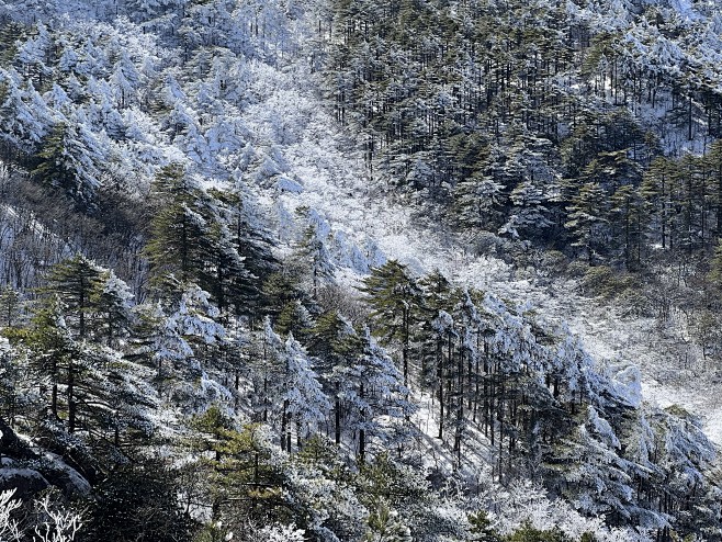 黄山~流淌的雪
