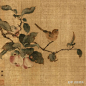 中国花鸟画技法——折枝
（南宋）林椿《果熟来禽图》
