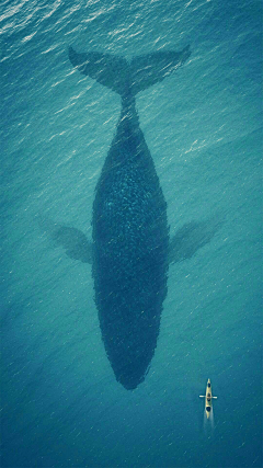 锻剑天涯采集到海洋