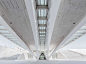 joel filipe the city of arts and sciences designboom