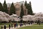 University of Washington Savery Hall - Google 搜索