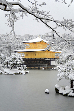 红笺采集到冰雪