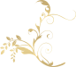 金色古典欧式花边花纹边框PNG免扣元素卡片邀请函装饰设计素材