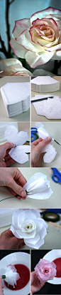 {DIY Coffee Filter Roses} I love this Flower DIY!!!