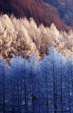 要开心呀(^▽^)采集到情怀随心风景