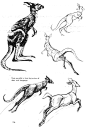 动物的画法日本漫画手绘技法经典教程 速写画法 零基础学画漫画素-淘宝网
