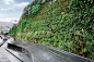 伦敦Westfield购物中心绿色生活墙商业内街 Living Wall at Westfield Shopping Centre by AECOM-mooool设计