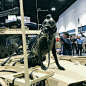 你看我头像牛X吗？欧美推出军犬专用战术头盔很拉风 : 2018年“特种作战部队行业会议和展览会”（SOFIC 2018）上展出的“三叉戟K9”（Trident K9）军犬专用战术头盔。