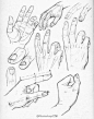 手部 画法【美手 手部结构 手部姿势 线稿 教程（手控福利】_不会取名的猫图片专辑-堆糖