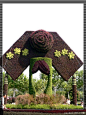 北京奥林匹克森林公园  看园林艺术