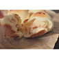 香芋小酥饼最最最喜欢的一套图w-白川与伪睿山电车