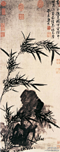 明 姚绶《竹石图》--- 此图以竹、石入画，以湿笔直接皴写山石之向背起伏。两枝新篁以浓墨写出，枝叶繁茂，俯仰欹正，笔笔有神，墨韵生动。(500×1253)