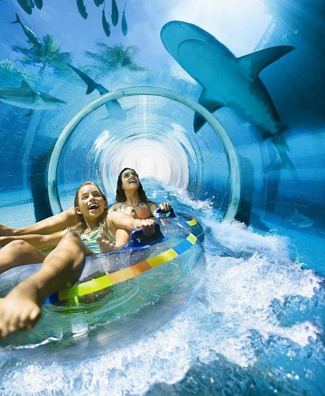 棕榈岛亚特兰蒂斯度假酒店是一座以海洋为主...