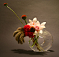 ikebana | KEITH STANLEY - Part 31