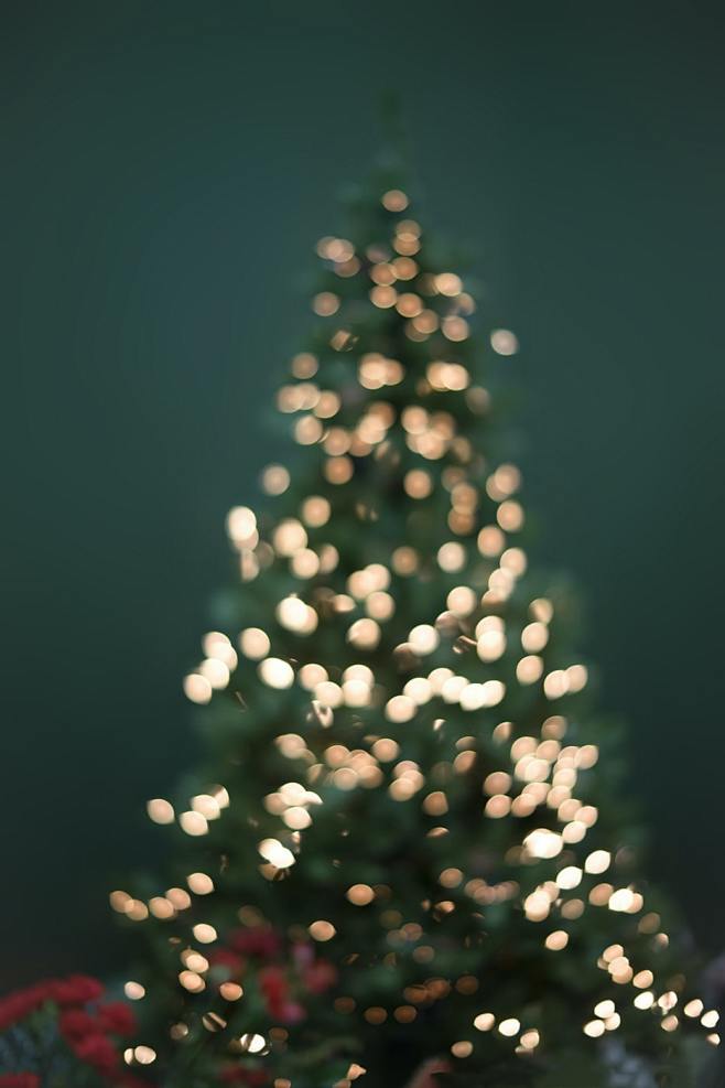 灯光 圣诞树