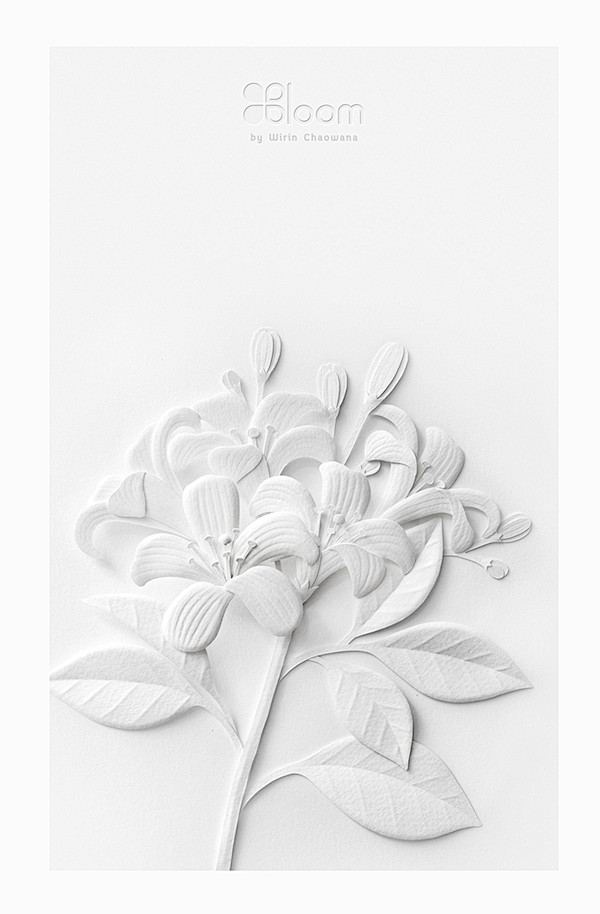 Paper Sculpture : Wh...