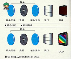 Naerbu采集到肉丁网DIY