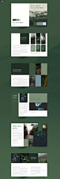 绿色主题森林杂志宣传册设计模板  
