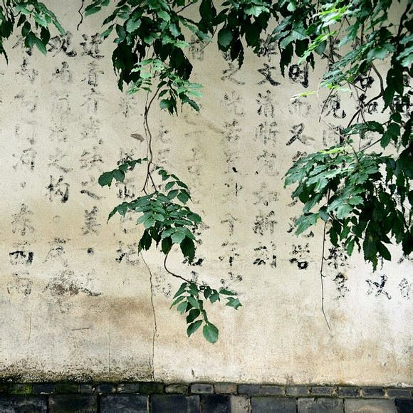 一往情深深几许？ 
深山夕照深秋雨。